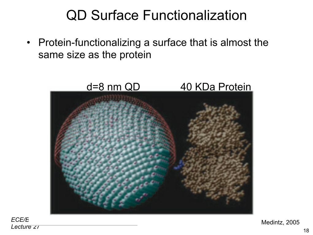 QD Surface Functionalization