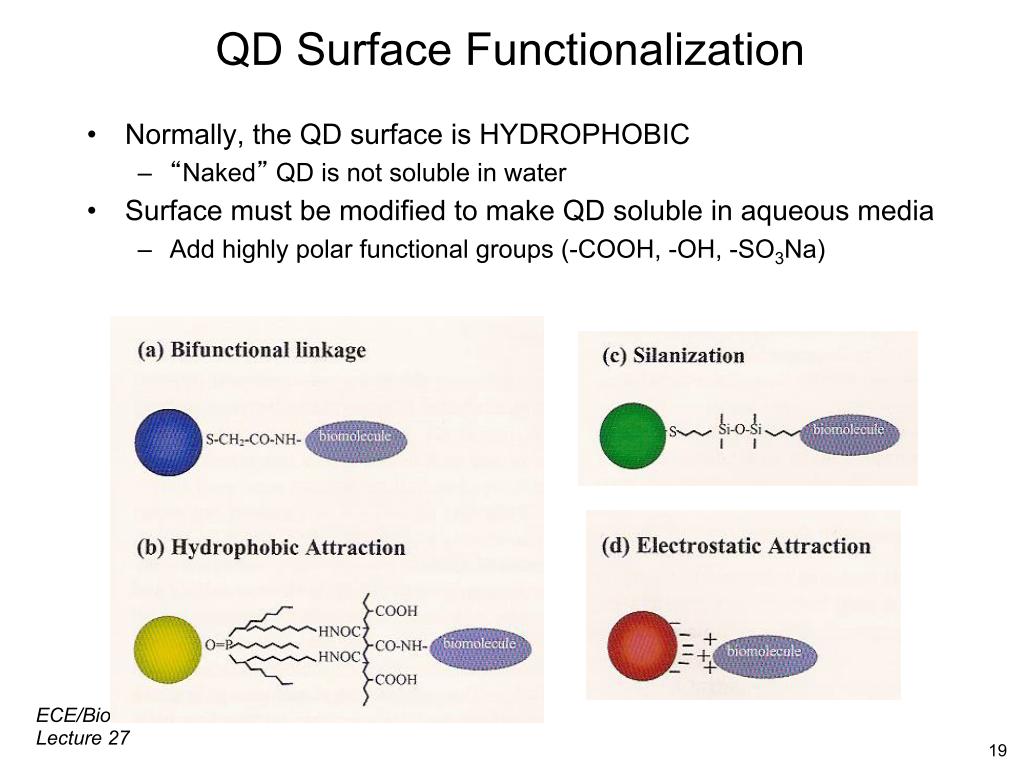 QD Surface Functionalization