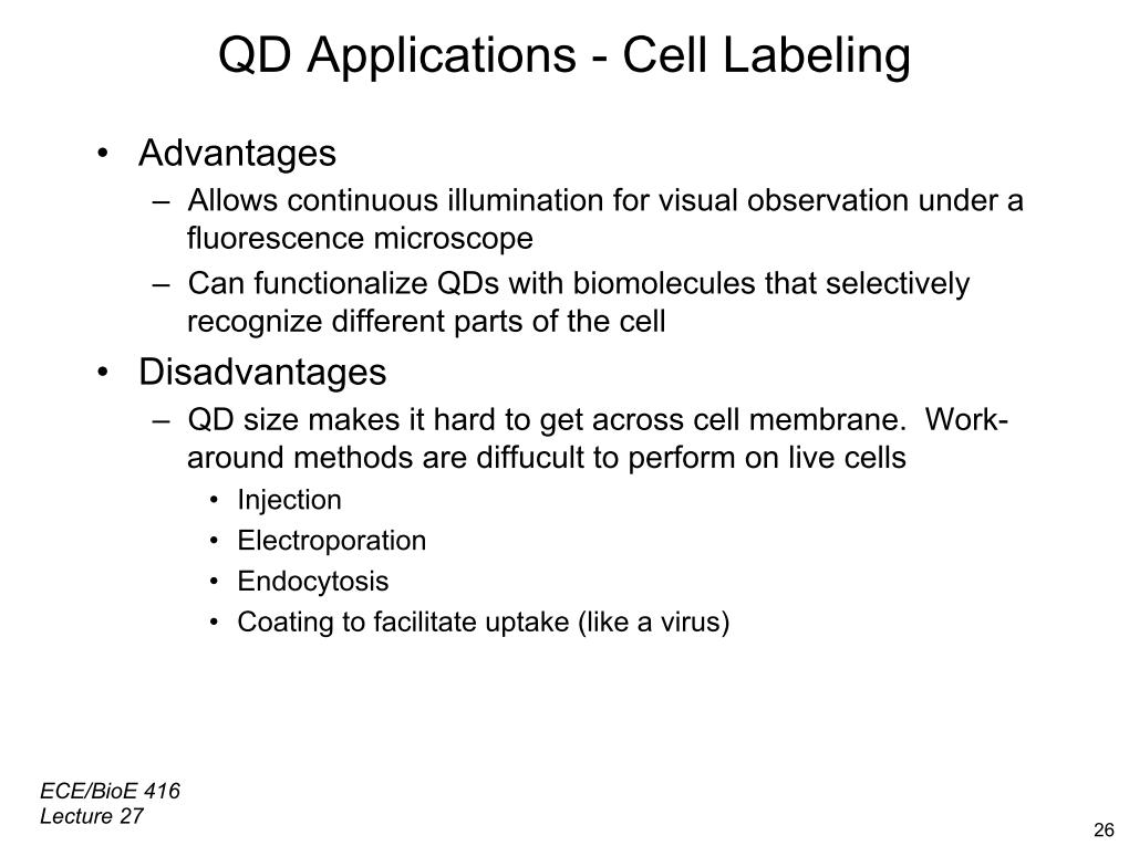 QD Applications - Cell Labeling