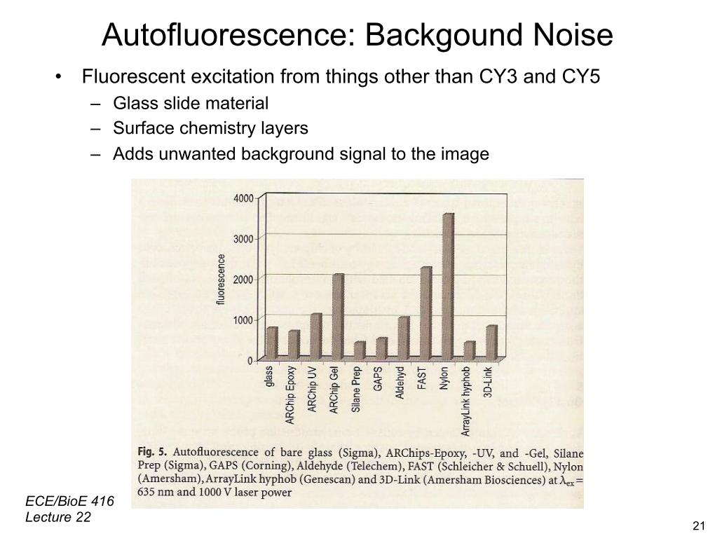 Autofluorescence: Backgound Noise