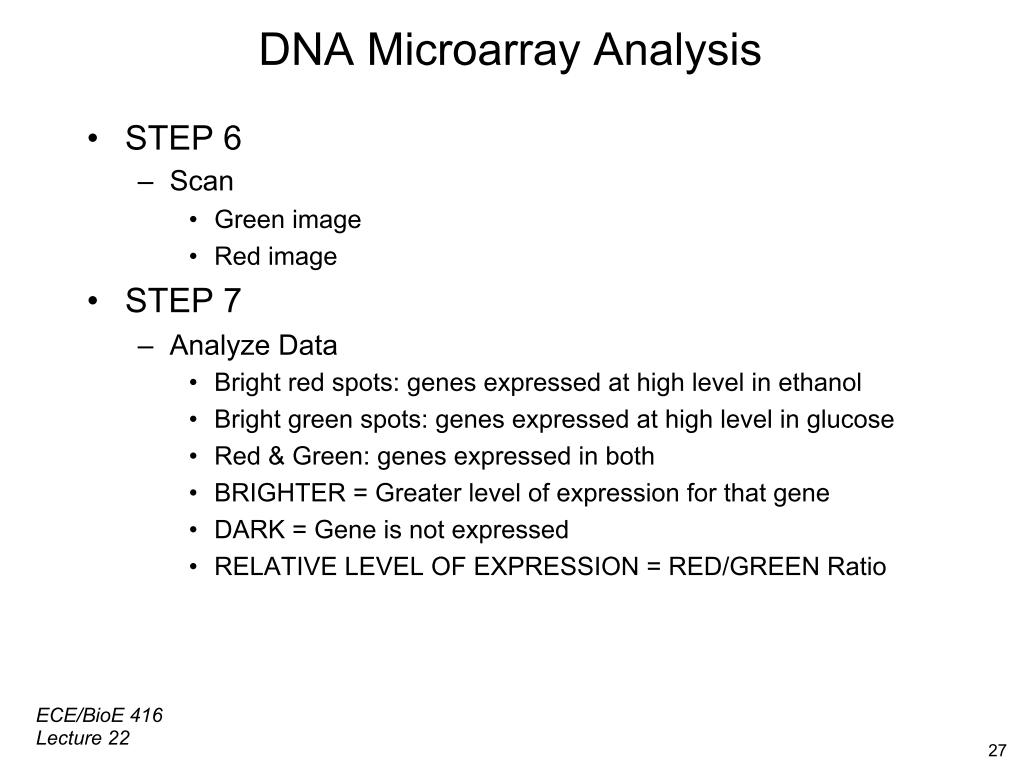 DNA Microarray Analysis