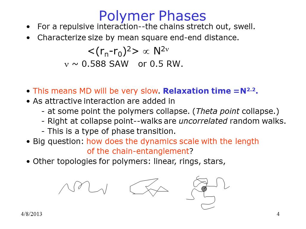 Polymer Phases