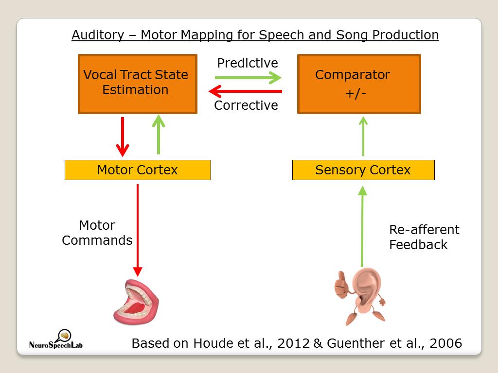 Auditory – Motor Mapping for Speech and Song Production