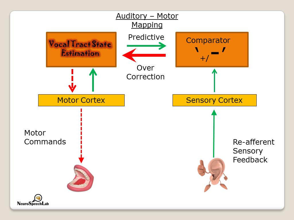 Auditory – Motor Mapping