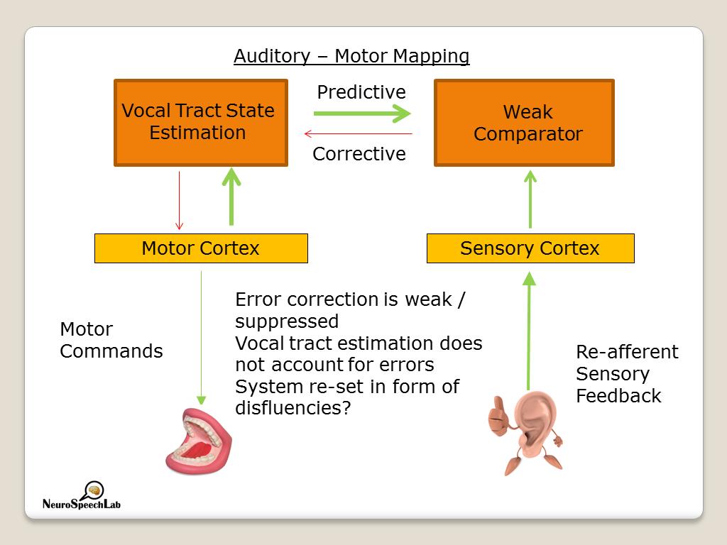 Auditory – Motor Mapping