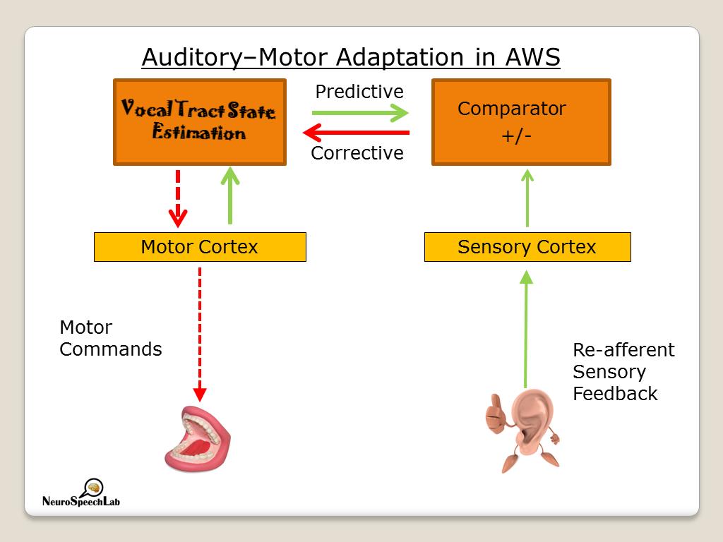 Auditory–Motor Adaptation in AWS