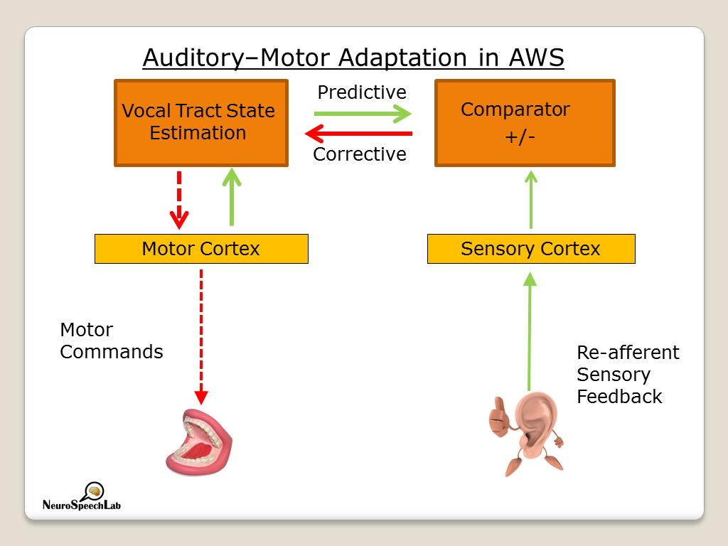 Auditory–Motor Adaptation in AWS