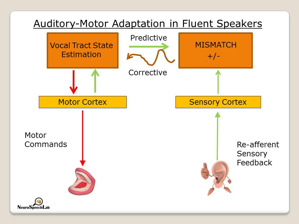 Auditory-Motor Adaptation in Fluent Speakers