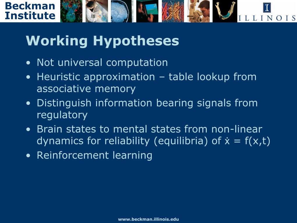 Working Hypotheses