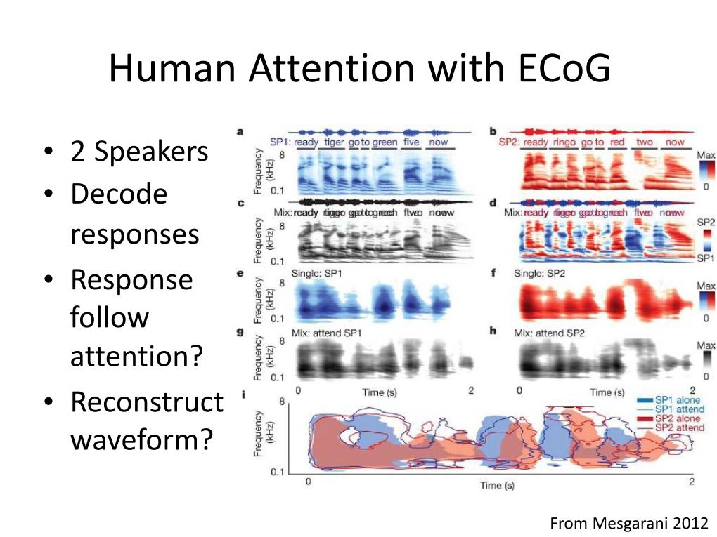 Human Attention with ECoG