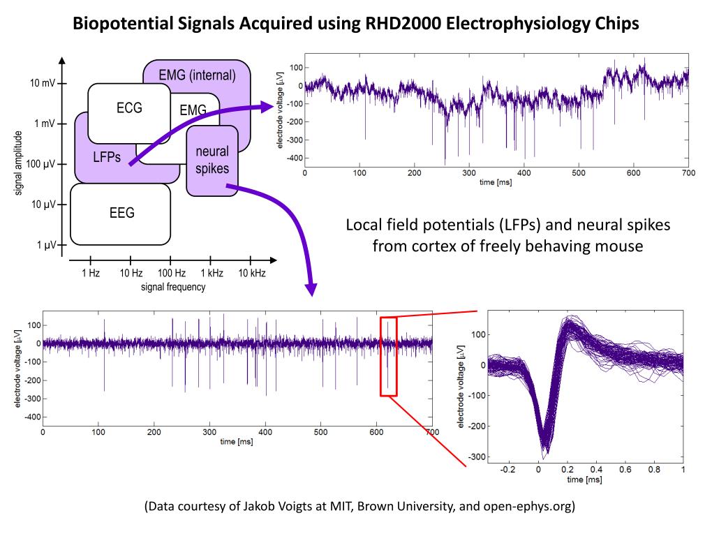 Biopotential Signals Acquired using RHD2000 Electrophysiology Chips