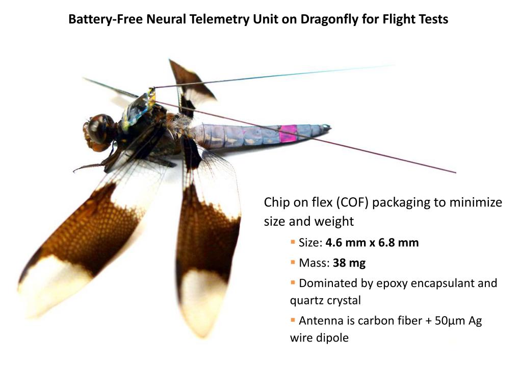 Battery-Free Neural Telemetry Unit on Dragonfly for Flight Tests