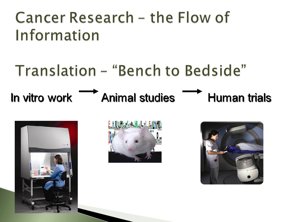 Cancer Research – the Flow of Information Translation – 