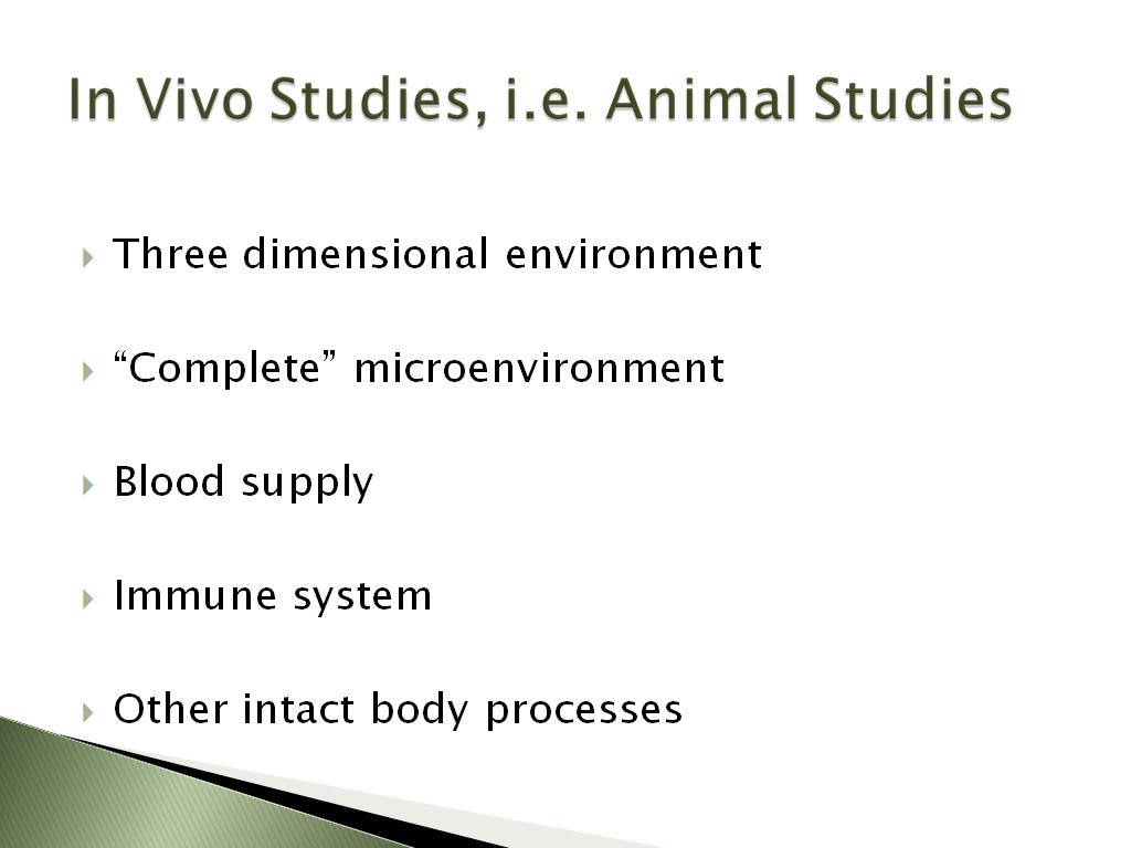 In Vivo Studies, i.e. Animal Studies