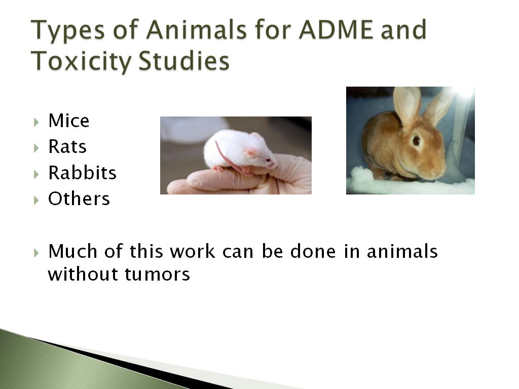 Types of Animals for ADME and Toxicity Studies