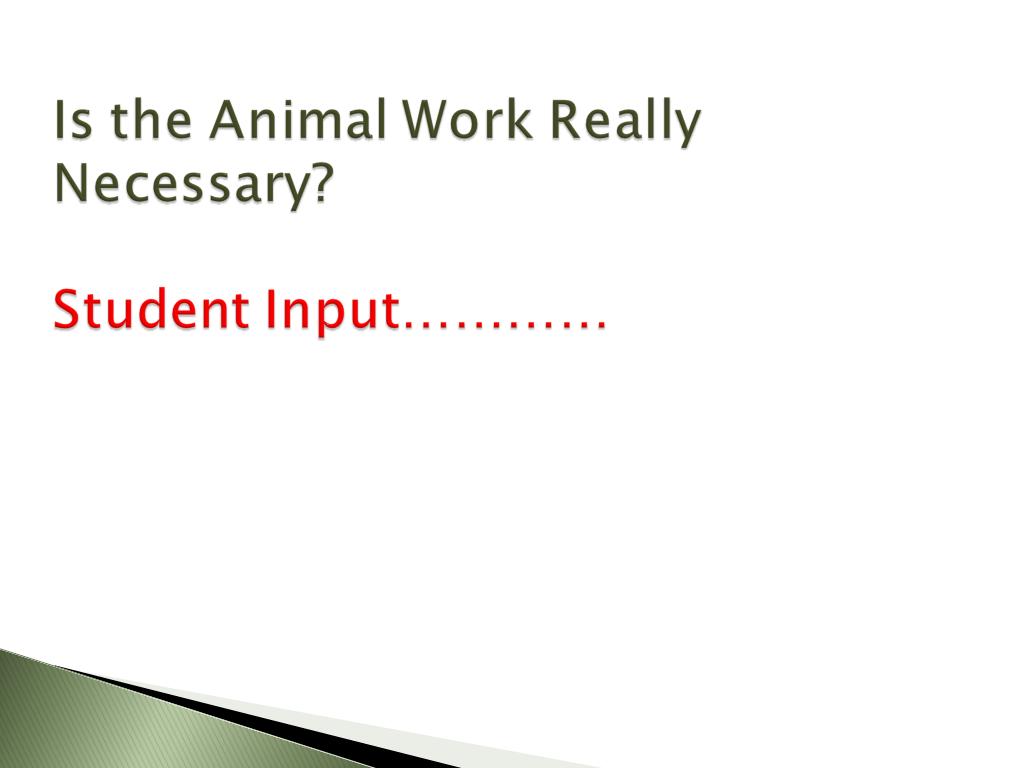 Is the Animal Work Really Necessary? Student Input…………