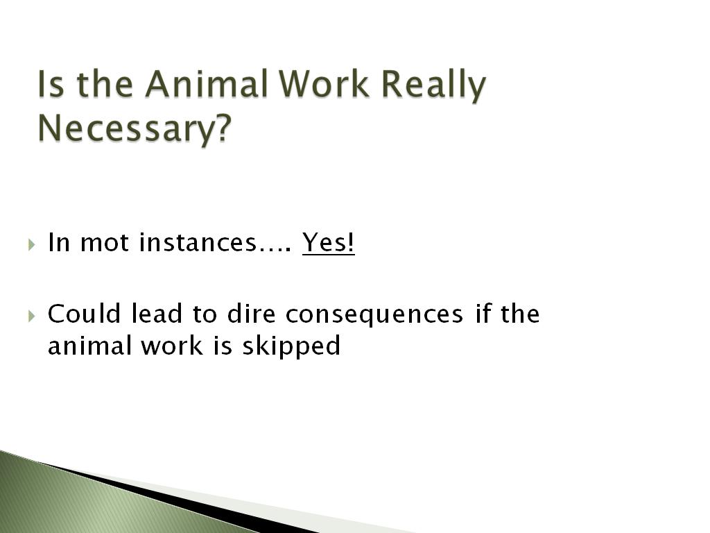 Is the Animal Work Really Necessary?