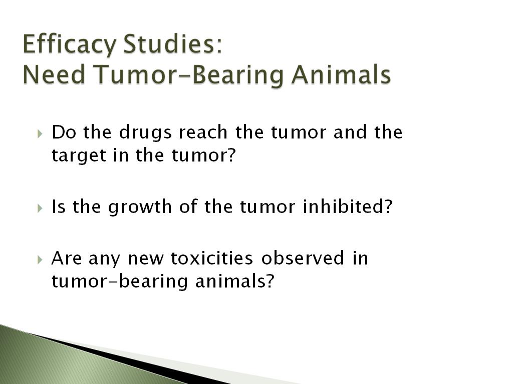 Efficacy Studies: Need Tumor-Bearing Animals