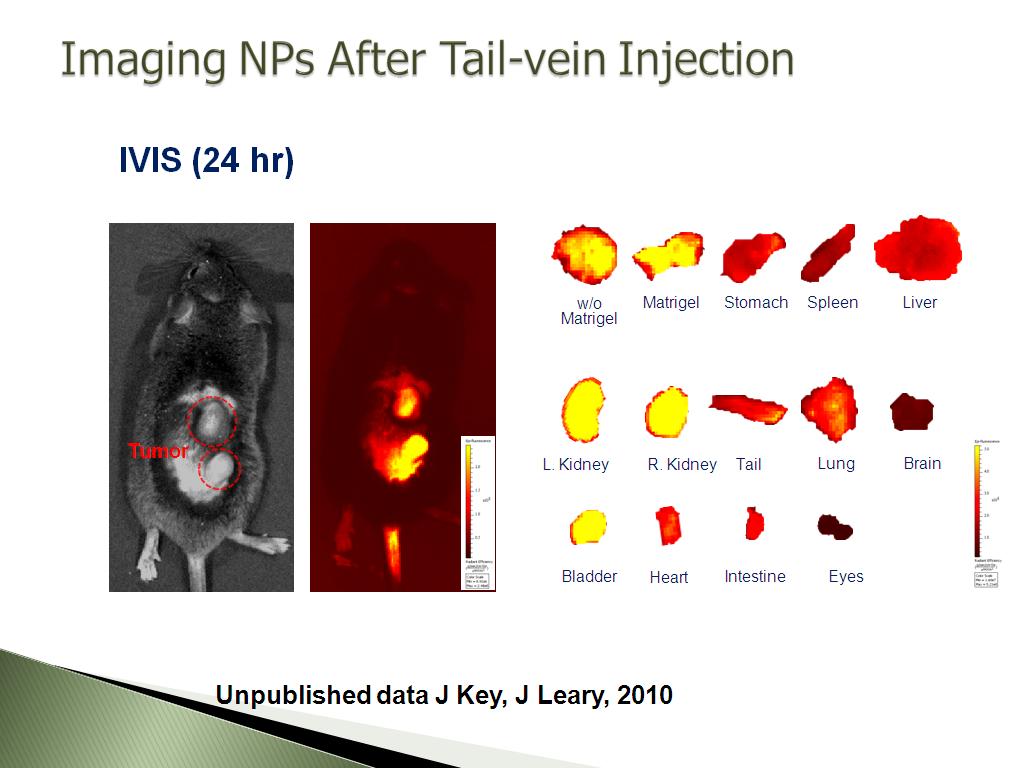 Imaging NPs After Tail-vein Injection