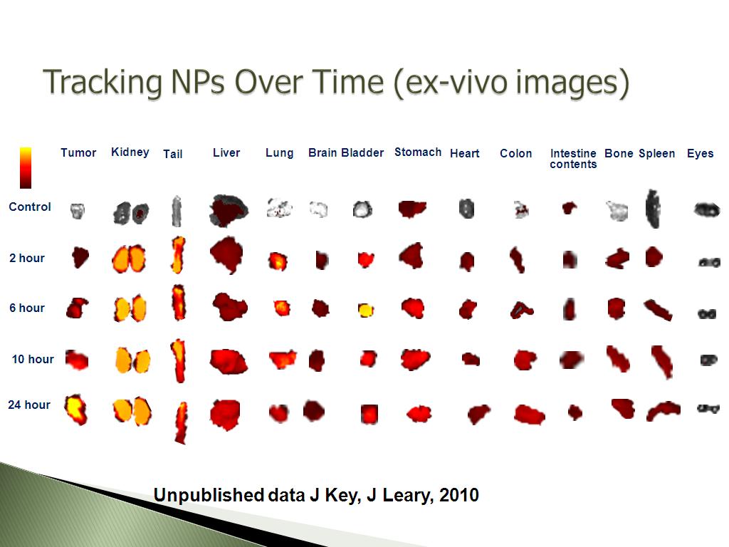 Tracking NPs Over Time (ex-vivo images)