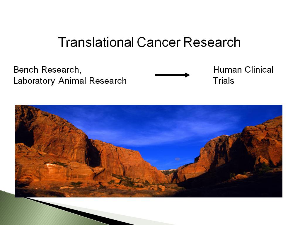 Translational Cancer Research