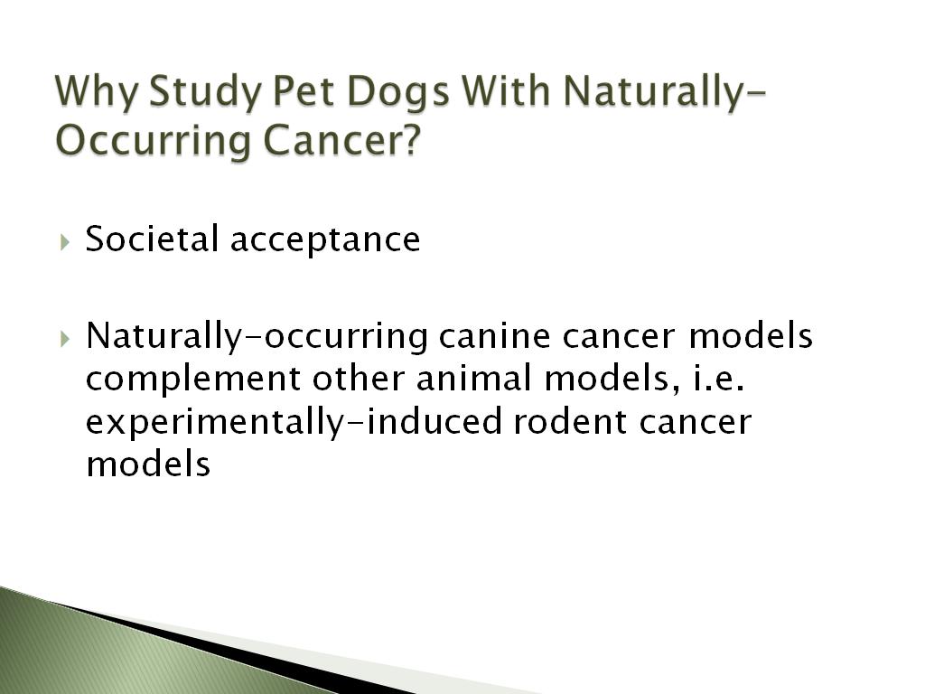 Why Study Pet Dogs With Naturally-Occurring Cancer?