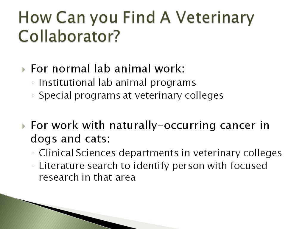 How Can you Find A Veterinary Collaborator?