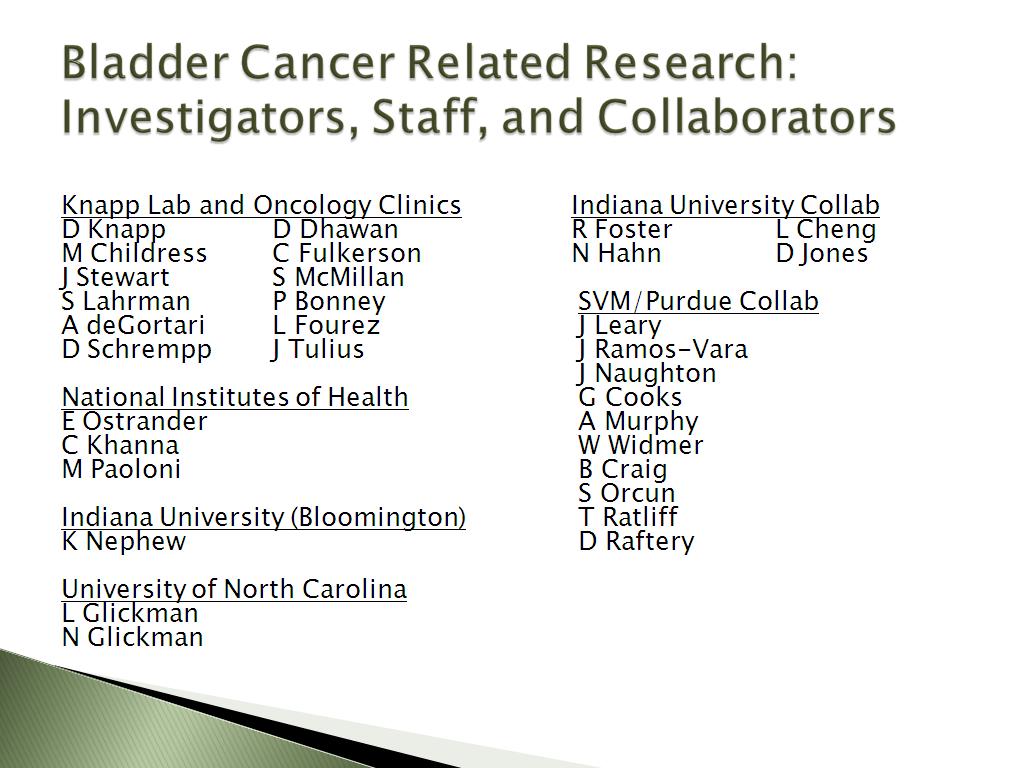 Bladder Cancer Related Research: Investigators, Staff, and Collaborators