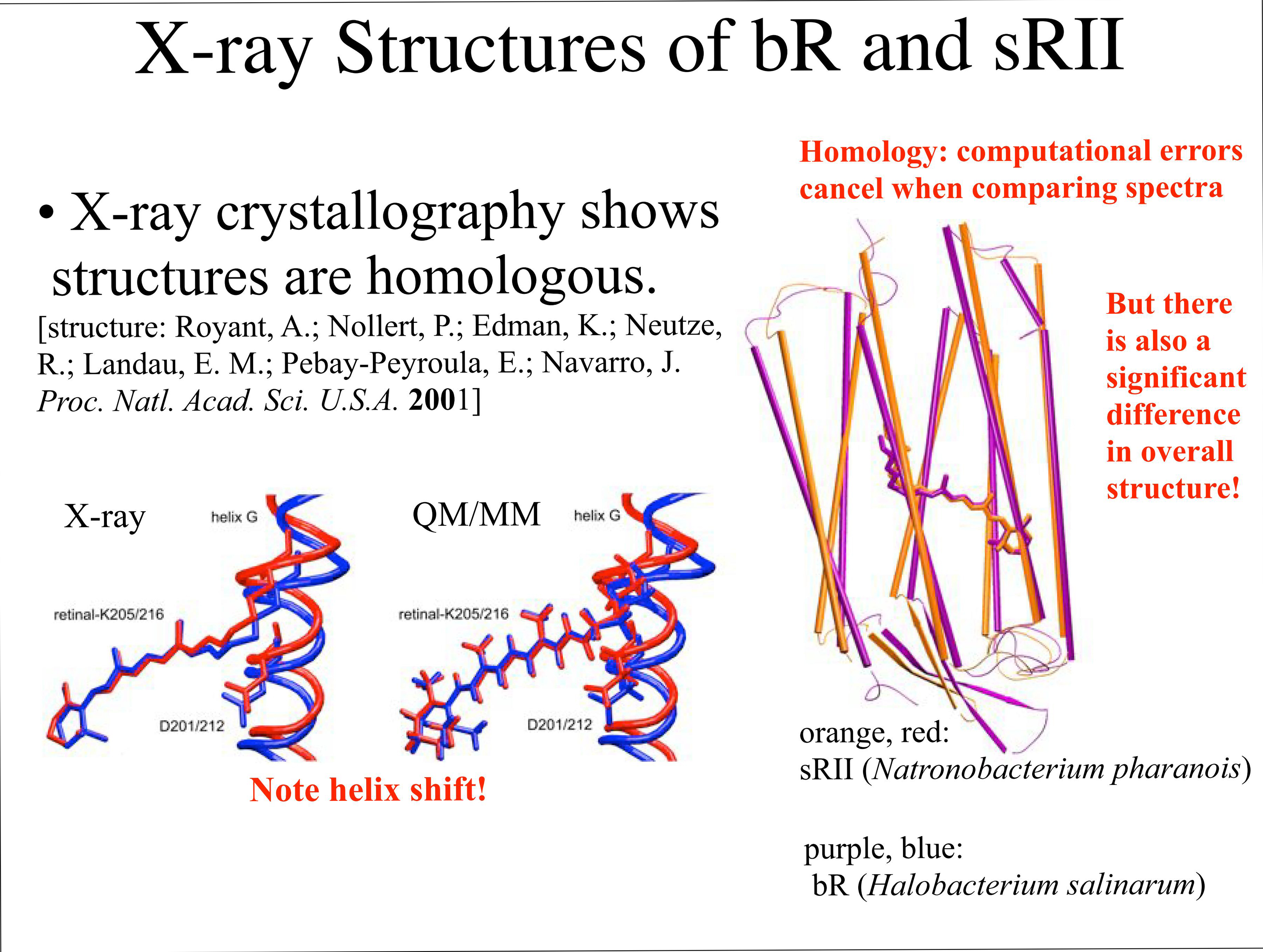 X-Ray Structures of bR and sRII