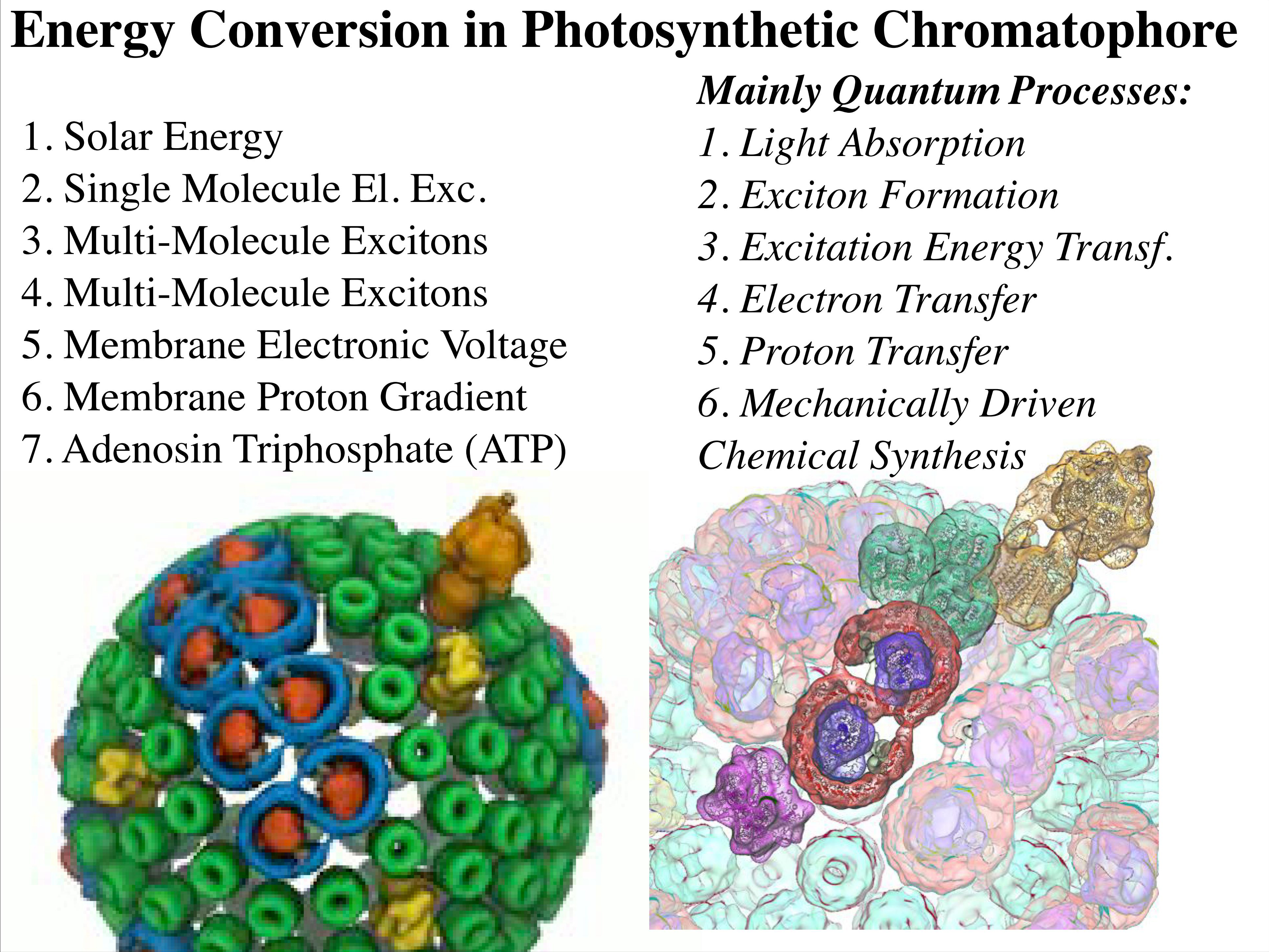 Energy Conversion in Photosynthetic Chromatophore