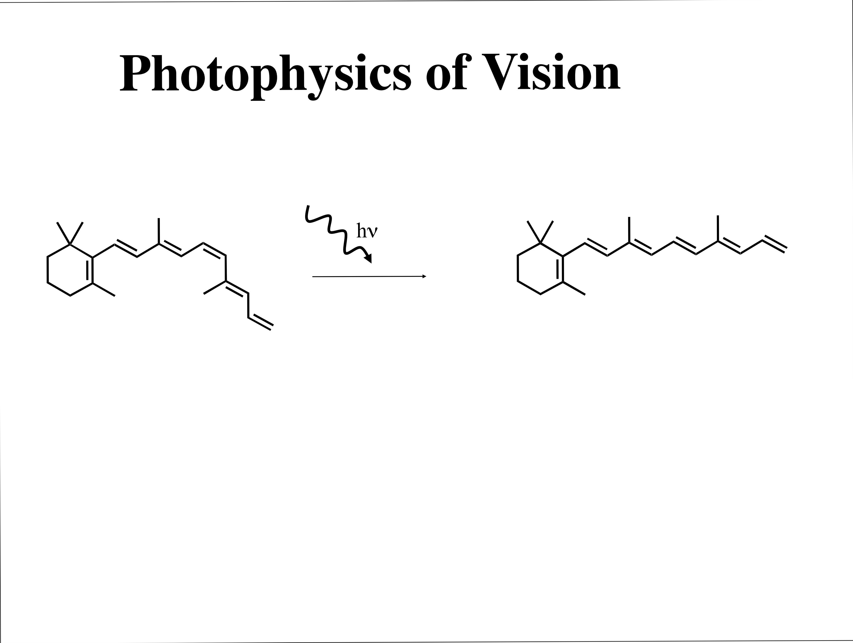 Photophysics of Vision