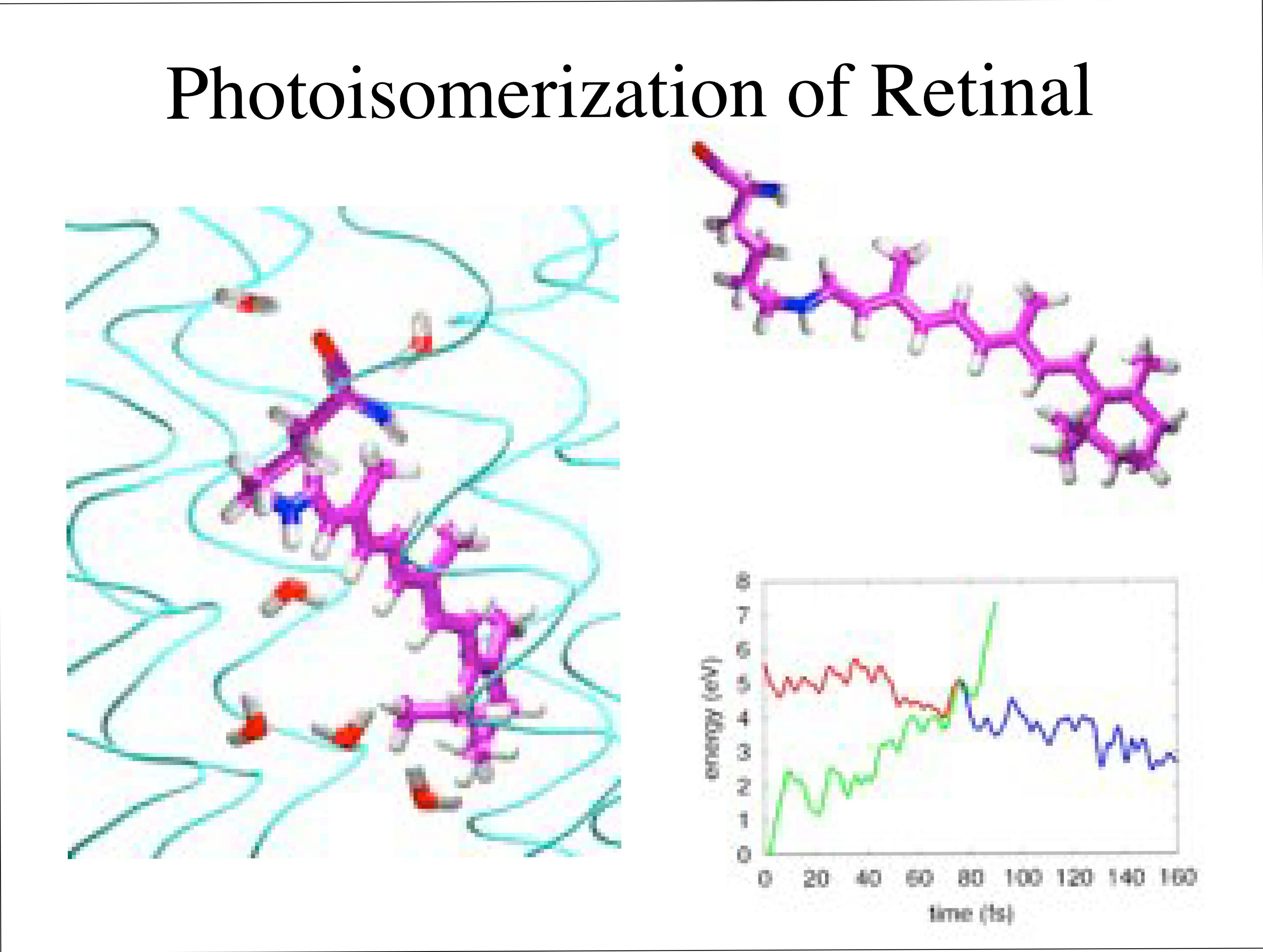 Photoisomerization of Retinal