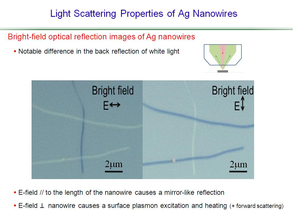Light Scattering Properties of Ag Nanowires