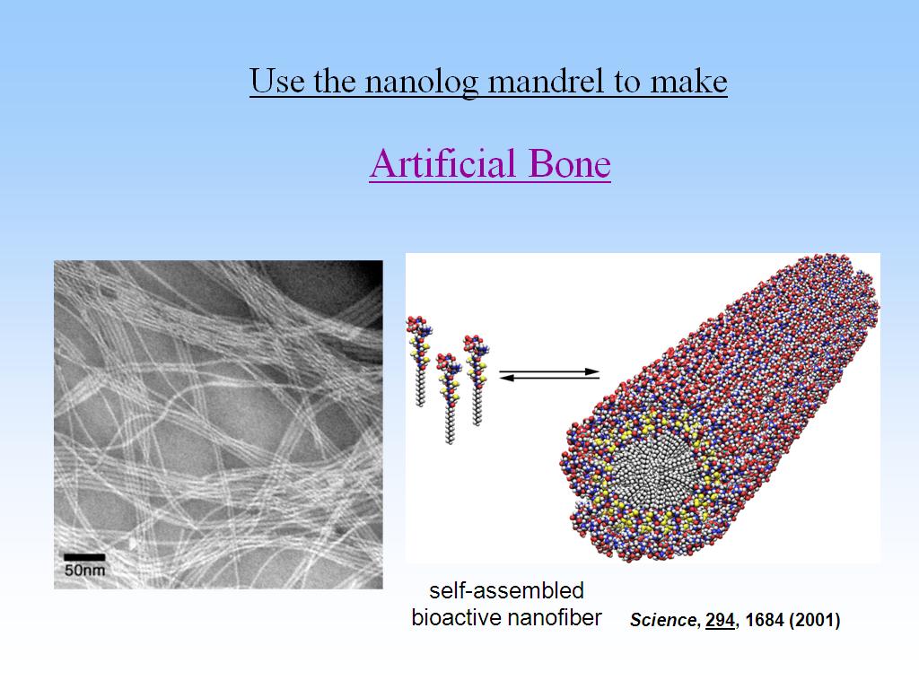 Artificial Bone