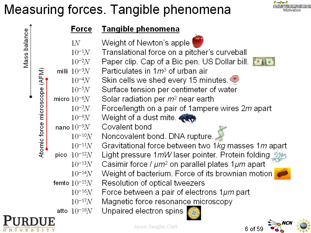 Measuring forces. Tangible phenomena