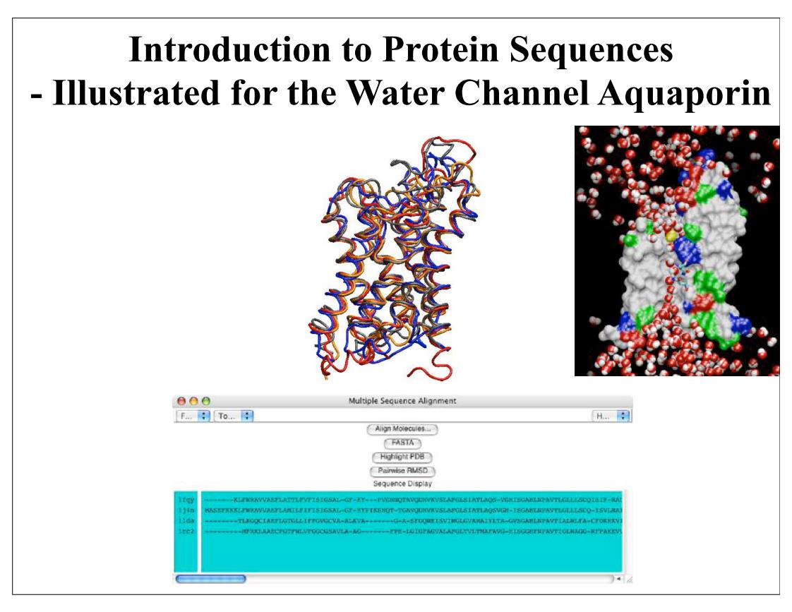 n in a protein sequence meaning