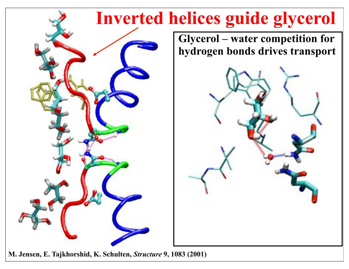 Resources Illinois Phys550 Lecture 28 Protein Sequence Analysis Watch 8299