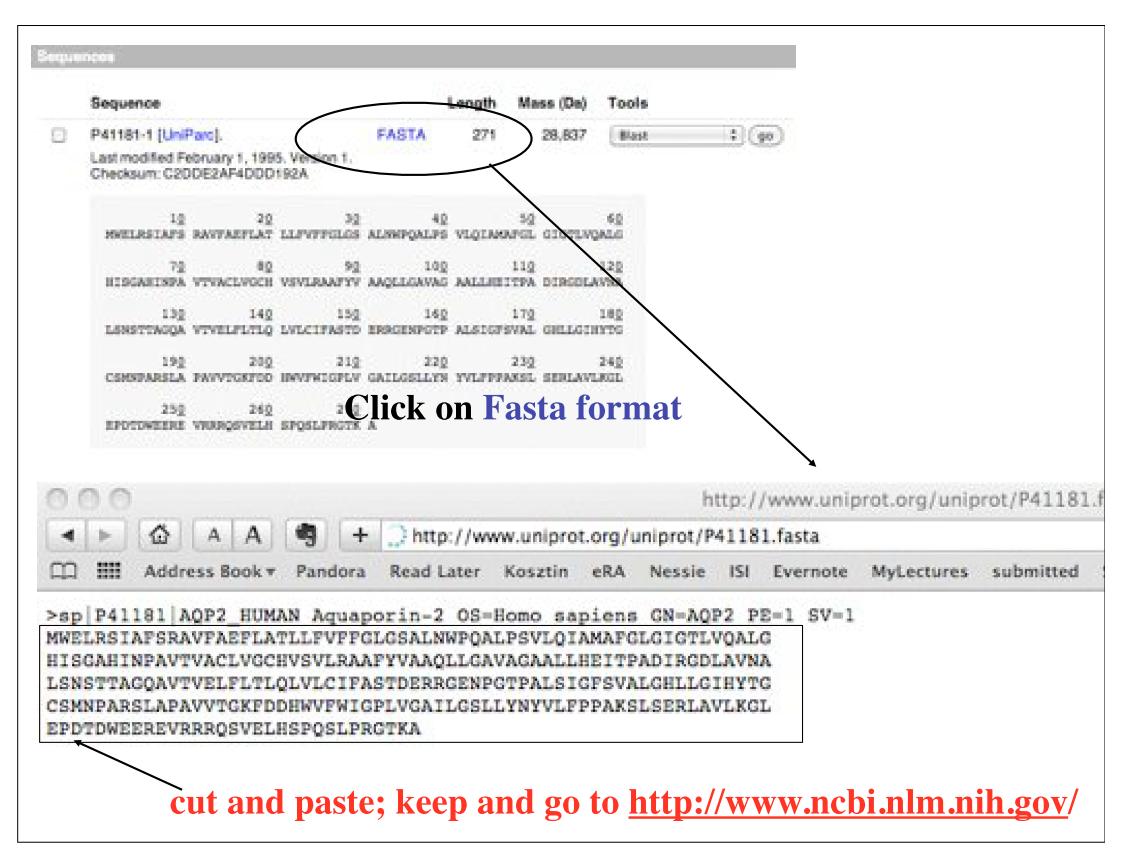 Resources Illinois Phys550 Lecture 28 Protein Sequence Analysis Watch 2411