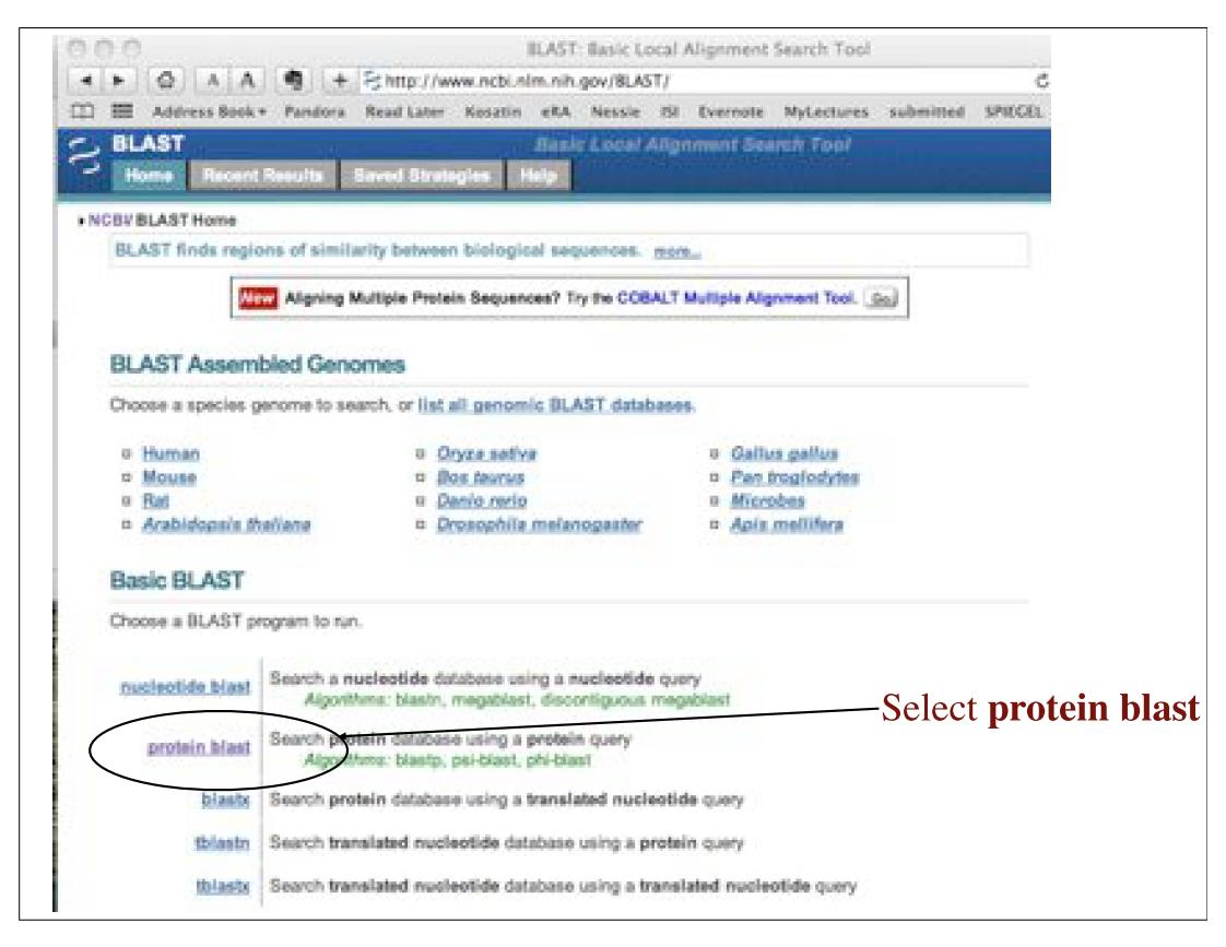 Resources Illinois Phys550 Lecture 28 Protein Sequence Analysis Watch 4112