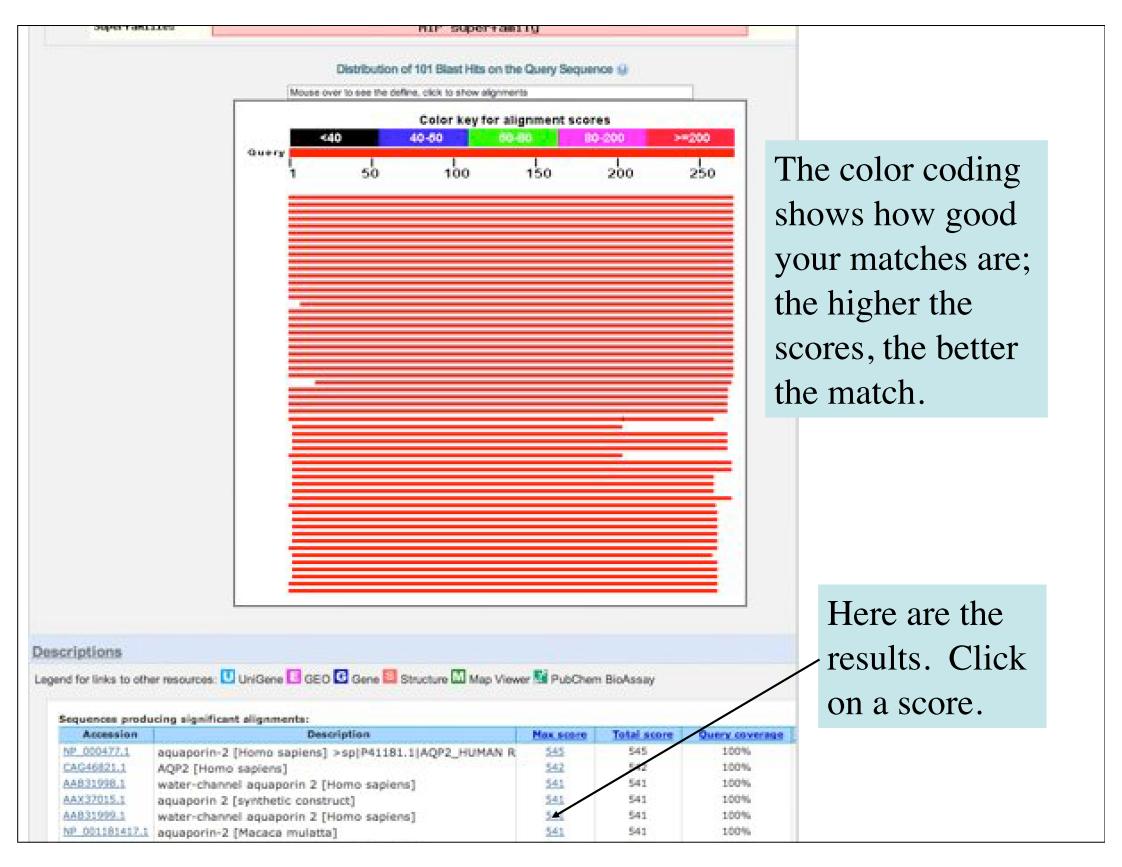 Resources Illinois Phys550 Lecture 28 Protein Sequence Analysis Watch 7298