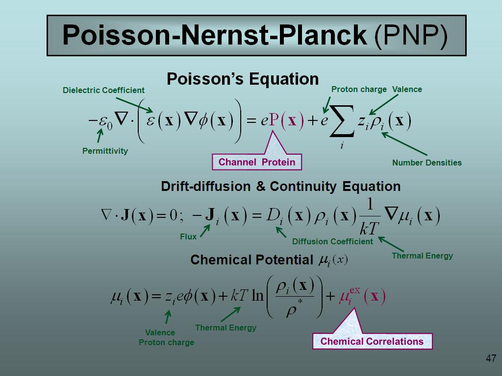 Poisson-Nernst-Planck