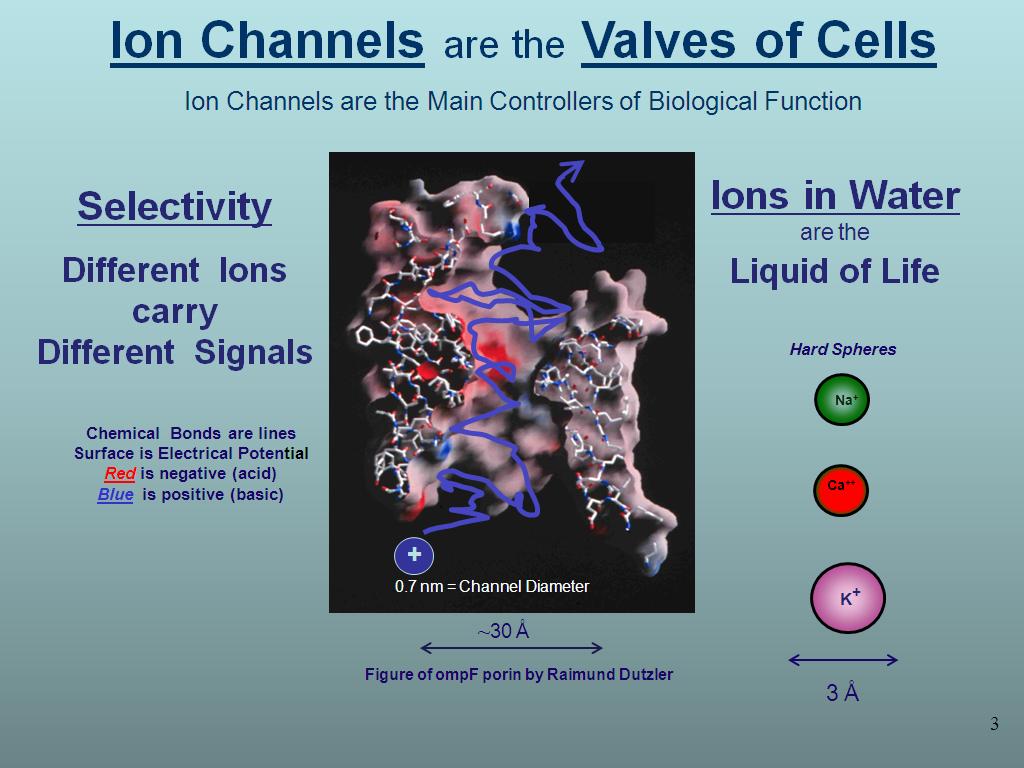 Ion Channels are the Valves of Cells