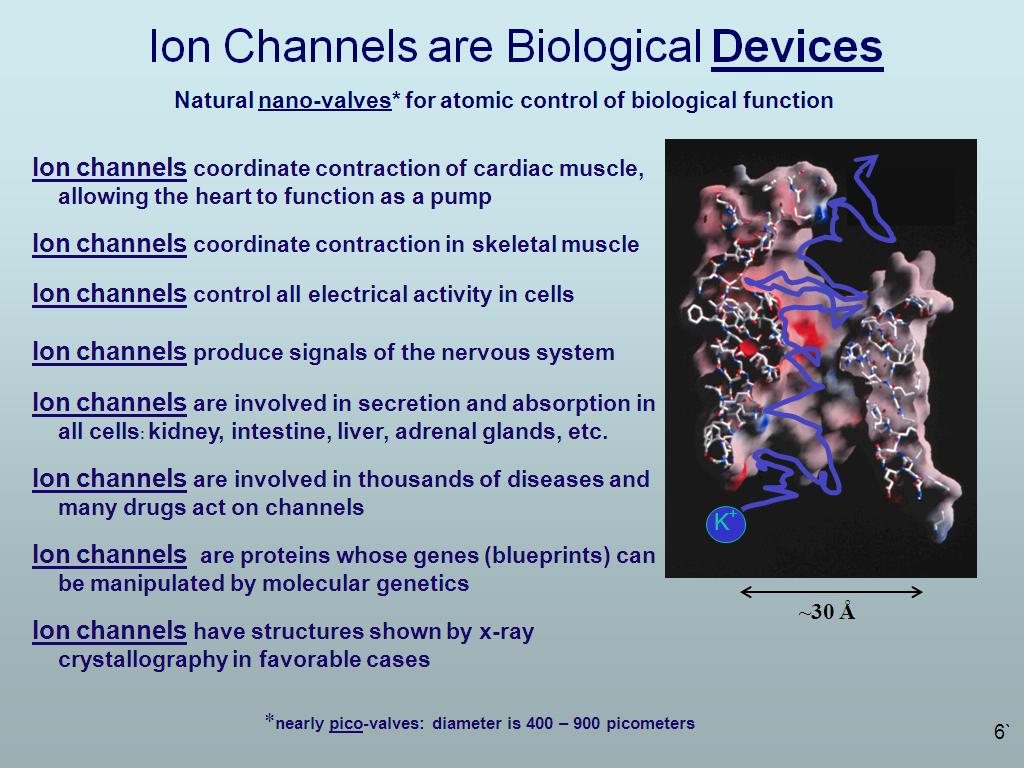 Ion Channels are Biological Devices