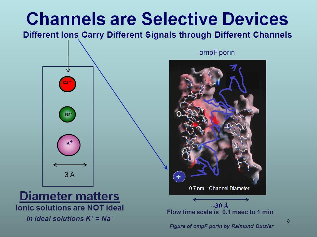 Channels are Selective Devices