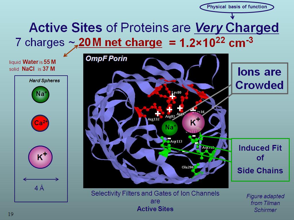 Active Sites of Proteins are Very Charged