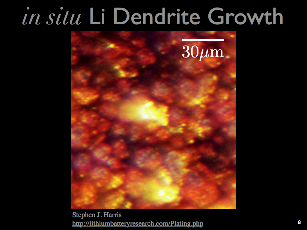 in situ Li Dendrite Growth