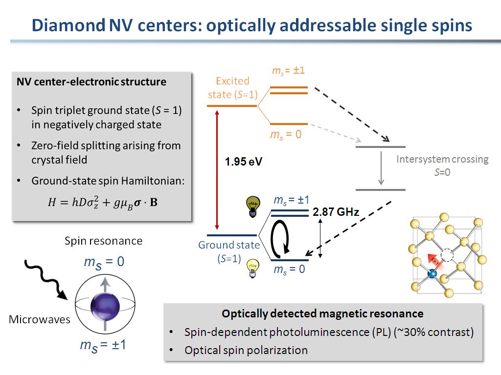 Diamond NV centers: optically addressable single spins