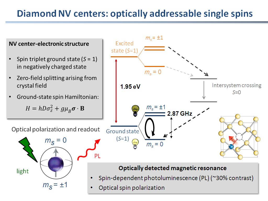 Diamond NV centers: optically addressable single spins