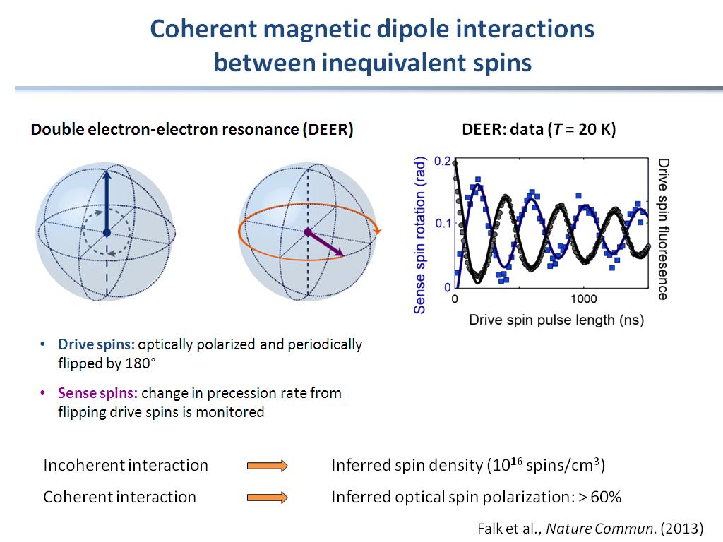 Coherent magnetic dipole interactions between inequivalent spins