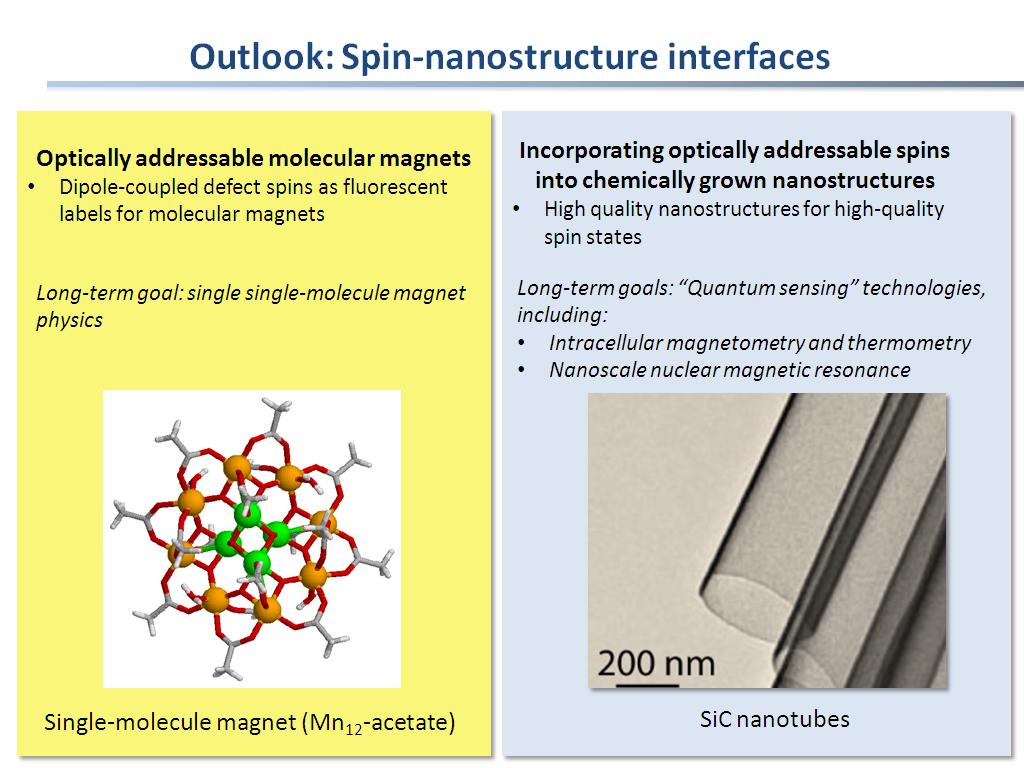 Outlook: Spin-nanostructure interfaces